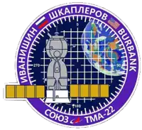 Insígnia da missão