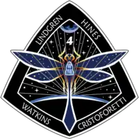 Insígnia da missão