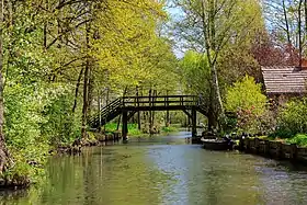 Horizonte de Lübbenau