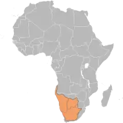 Distribuição da cabra-de-leque