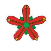 Estames antipétalo-alternissépalos