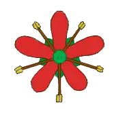 Estames antissépalo-alternipétalos