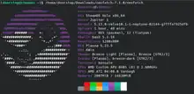 Neofetch mostrado na SteamOS