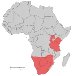 Distribuição territorial do rafícero-campestre, com base em dados da década de 1970