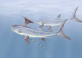 Reconstrução de um casal de S. altonensis.