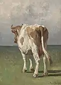 Study of a Cow. Courtesy Figge Art Museum.