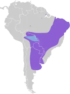Distribuição geográfica do suiriri-cinzento.