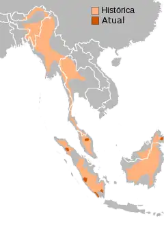 Distribuição geográfica, histórica e atual.
