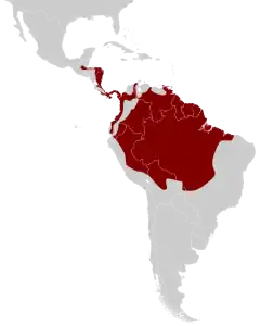 Mapa com parte da distribuição geográfica do pavãozinho-do-pará.