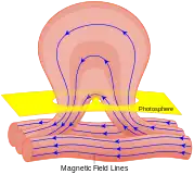 Diagrama da estrutura do campo magnético de uma erupção solar e sua origem, inferida como resultado da deformação de tal estrutura magnética ligando o interior solar com a atmosfera solar, através da coroa.