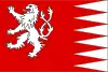 Bandeira de Svojanov