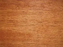 Madeira da espécie Swietenia macrophylla.