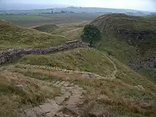 Sycamore Gap (the "Robin Hood Tree")