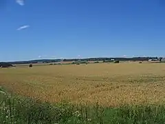 Campos agrícolas