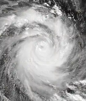 imagem ilustrativa de artigo Ciclone Jaya