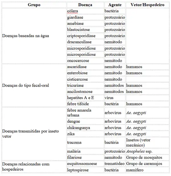 Tabela com informações referentes ao grupo de doenças por transmissão, vetor/ hospedeiro, agente e doença. Fonte: Livro - Saneamento para estudantes e profissionais de saúde pública (Wanderley da Silva Paganini, Miriam Moreira Bocchiglieri e Leonardo Machado Pitombo).