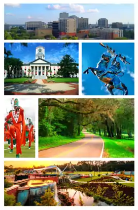 Do topo, da esquerda para a direita: panorama de Tallahassee, construções do Capitólio Estadual da Flórida, estátua de Osceola e Renegade na FSU, Marching 100 da FAMU, Old St. Augustine Canopy Road, e Parque Cascades