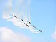 Equipe de demostração aérea da Força Aérea Sueca