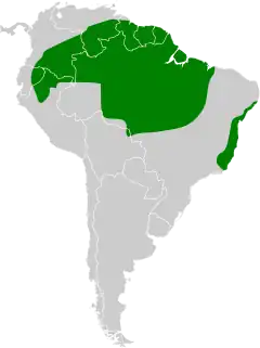 Distribuição do ipecuá