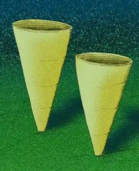 Thectardis, um possível porífero