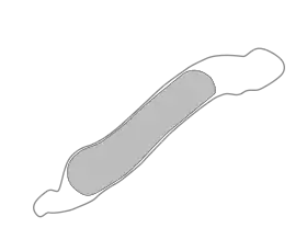 Esboço de uma Thermotoga maritima mostrando a "toga"