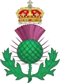O cardo, flor nacional da Escócia.