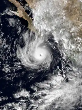 imagem ilustrativa de artigo Furacão Tico