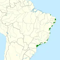 Distribuição do apuim-de-cauda-amarela