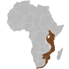 Território da gazela-pintada-do-cabo