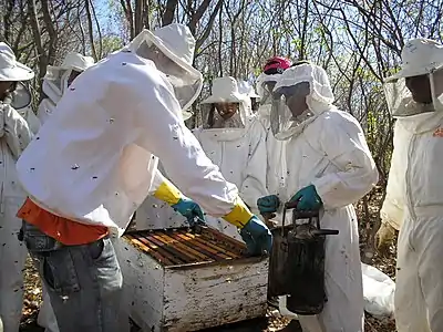 Treinamento de apicultores de Palestina em curso oferecido pelo Instituto Elo Amigo.