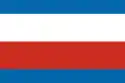 Bandeira da região de Trenčín