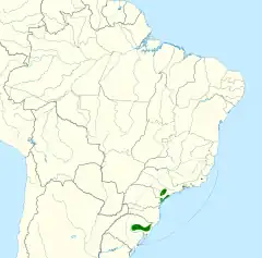 Distribuição do sabiá-cica no Brasil