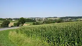 Horizonte de Triftern