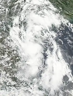 imagem ilustrativa de artigo Depressão tropical Dois (2010)