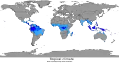 Os moluscos da família Conidae são particularmente bem distribuídos nas costas e oceanos das regiões de clima tropical da Terra, principalmente na região do Indo-Pacífico.