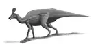 Tsintaosaurus spinorhinus