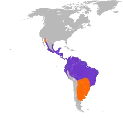 Roxo = distribuição durante o ano inteiro; laranja = distribuição de reprodução