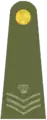 Exército Britânico(Staff Sergeant)