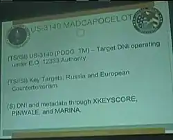 STORMBREW: MADCAPOCELOT