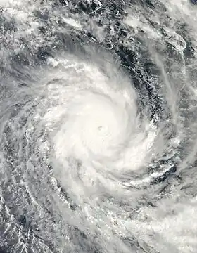 imagem ilustrativa de artigo Ciclone Ului