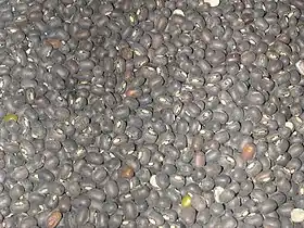 Feijões-da-Índia secos