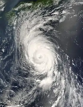 imagem ilustrativa de artigo Tufão Usagi (2007)