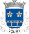Brasão de armas de Touro