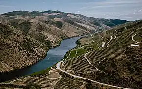 Vale do Côa