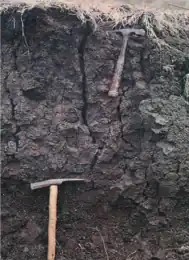 Vertissolo Ebânico (SIBCS, 2018)