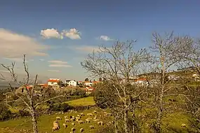 Aldeia de Montanha de Vide Entre Vinhas, Celorico da Beira