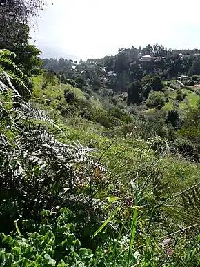 Vista dos Prazeres a partir da levada.