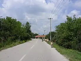 La rue principale de Vrćenovica