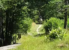 O trilho entre Vreta e Skomakartorpet