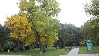 Antigo cemitério judeu, agora Parque da Cidade